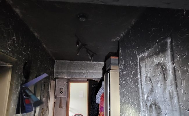 batch_20220411_191337