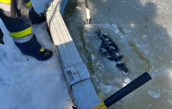 09.02.2023 Technischer Einsatz