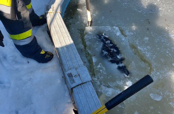 09.02.2023 Technischer Einsatz